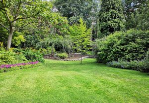 Optimiser l'expérience du jardin à Andelaroche