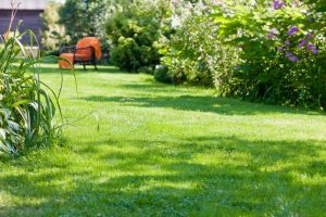 travaux jardin et paysage Andelaroche